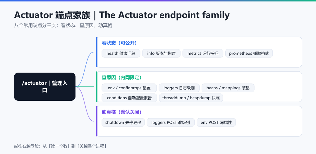 图 · Actuator 端点家族
